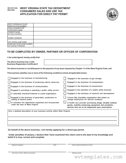 Free Wv Cst 250 Form