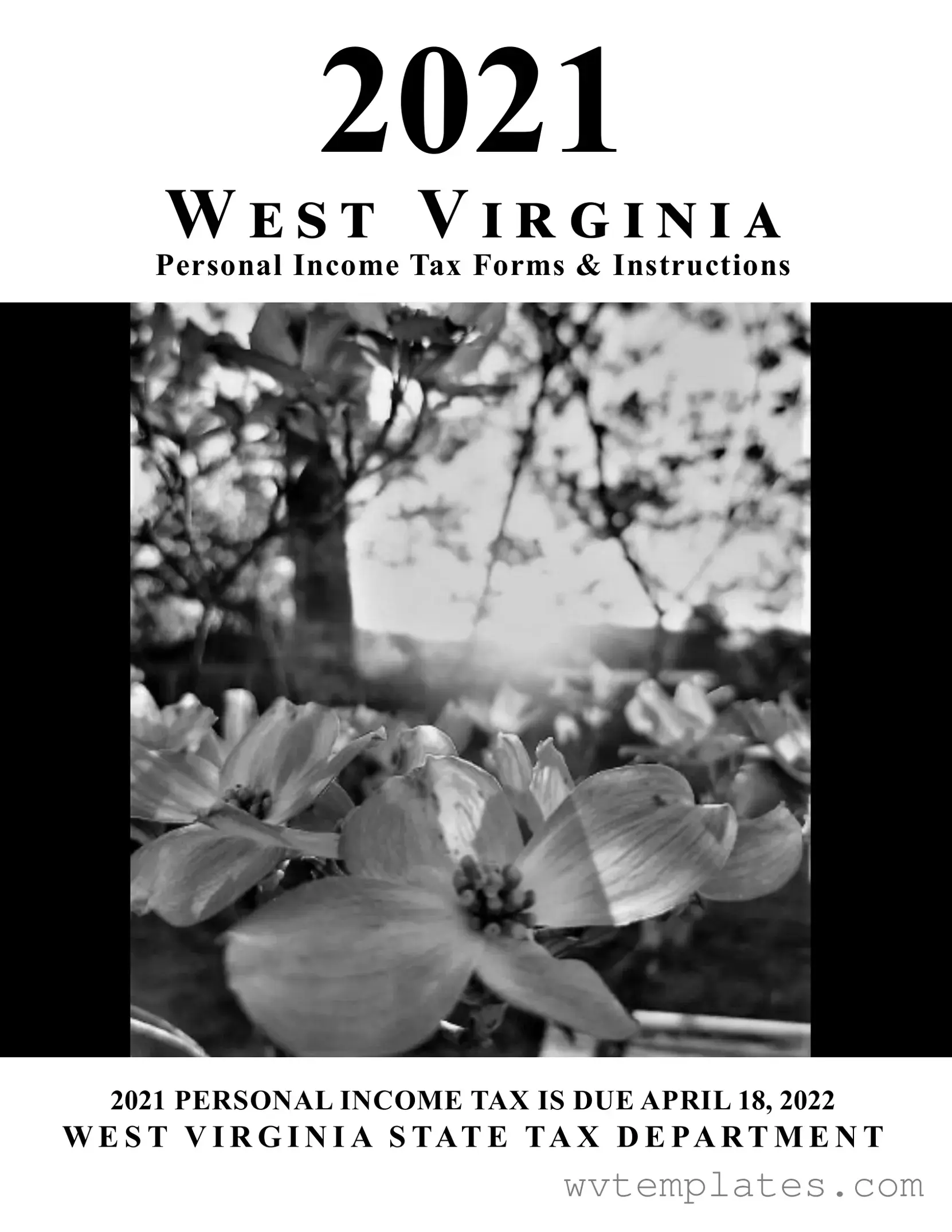 Free Wv Tax Form